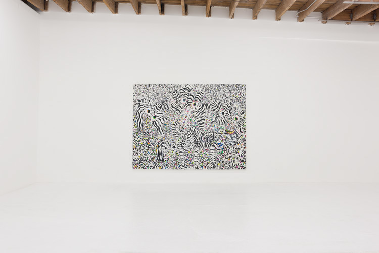 Sally Bruno, 'Surf Skate Snow', 2016, installation view. Photo: Ruben Diaz Sally Bruno, 'Surf Skate Snow', 2016, installation view. Photo: Ruben Diaz
