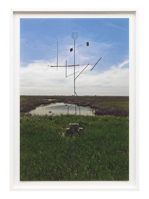 Kara Uzelman, ‘Antenna, Last Mountain Bird Sanctuary’, 2013, Sommer & Kohl