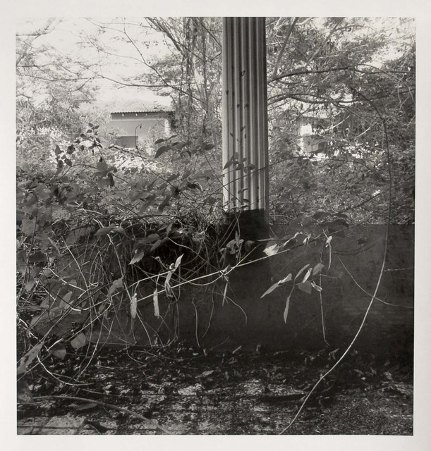 Simryn Gill, ‘My Own Private Angkor’, 2008, Jhaveri Contemporary