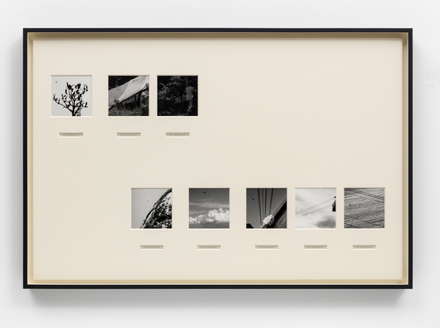 Taryn Simon, ‘Brazil, Birds of the West Indies’, 2014, Gagosian
