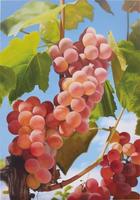 Grapes I
