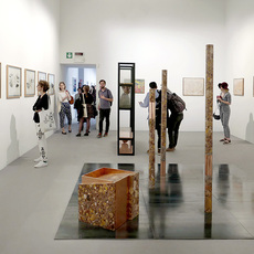 Elena Damiani | 56th Venice Biennial