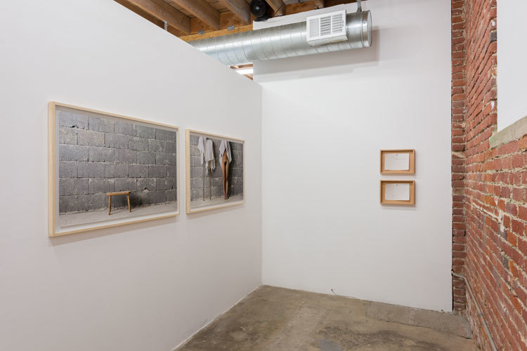 Margarethe Drexel, 'Potentilla erecta. Mens sana in corpore sano.' Installation view, Chimento Contemporary. Photo: Ruben Diaz. Margarethe Drexel, 'Potentilla erecta. Mens sana in corpore sano.' Installation view, Chimento Contemporary. Photo: Ruben Diaz.