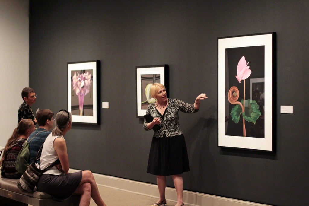 Gallery talk in front of Amy Lamb’s “Cyclamen IV”, 2003; Digital pigment print of photography; Courtesy of Steven Scott Gallery, Baltimore; Photography by Laura Hoffman Gallery talk in front of Amy Lamb’s “Cyclamen IV”, 2003; Digital pigment print of photography; Courtesy of Steven Scott Gallery, Baltimore; Photography by Laura Hoffman