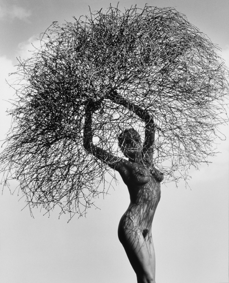 Staged Photography