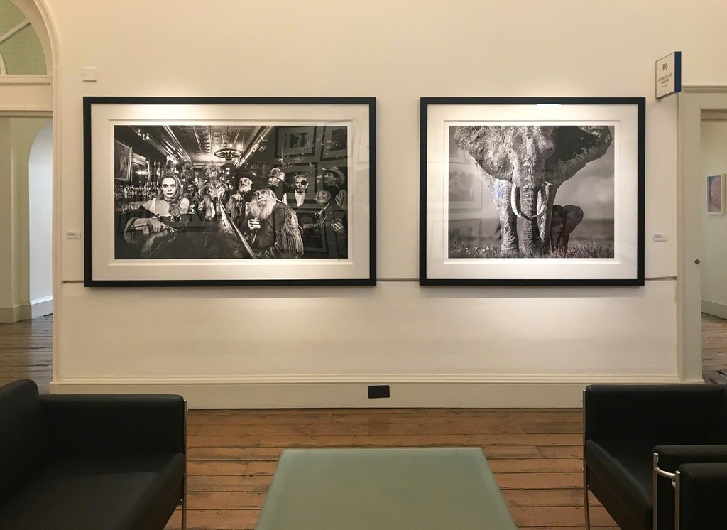 David Yarrow David Yarrow