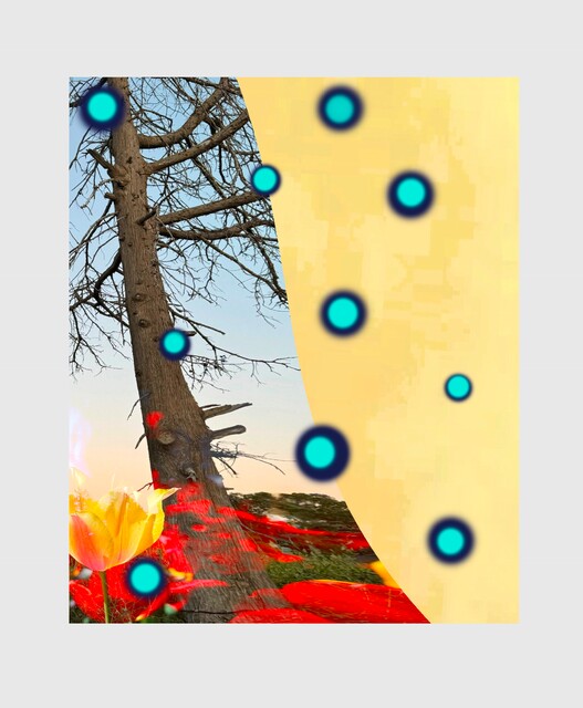 Esoteric Record of the Earth / No: 5