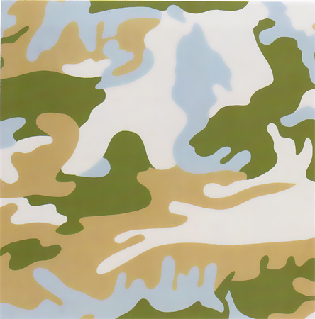 Andy Warhol, ‘Camouflage, II.407’, 1987, Hamilton-Selway Fine Art