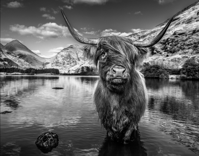 David Yarrow, ‘Glen Etive’, 2019, Isabella Garrucho Fine Art