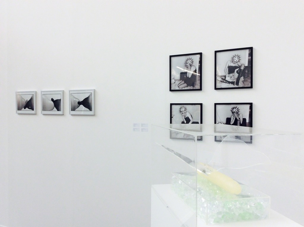 Renate Bertlmann, Solo presentation, Brussels, 2016 Renate Bertlmann, Solo presentation, Brussels, 2016