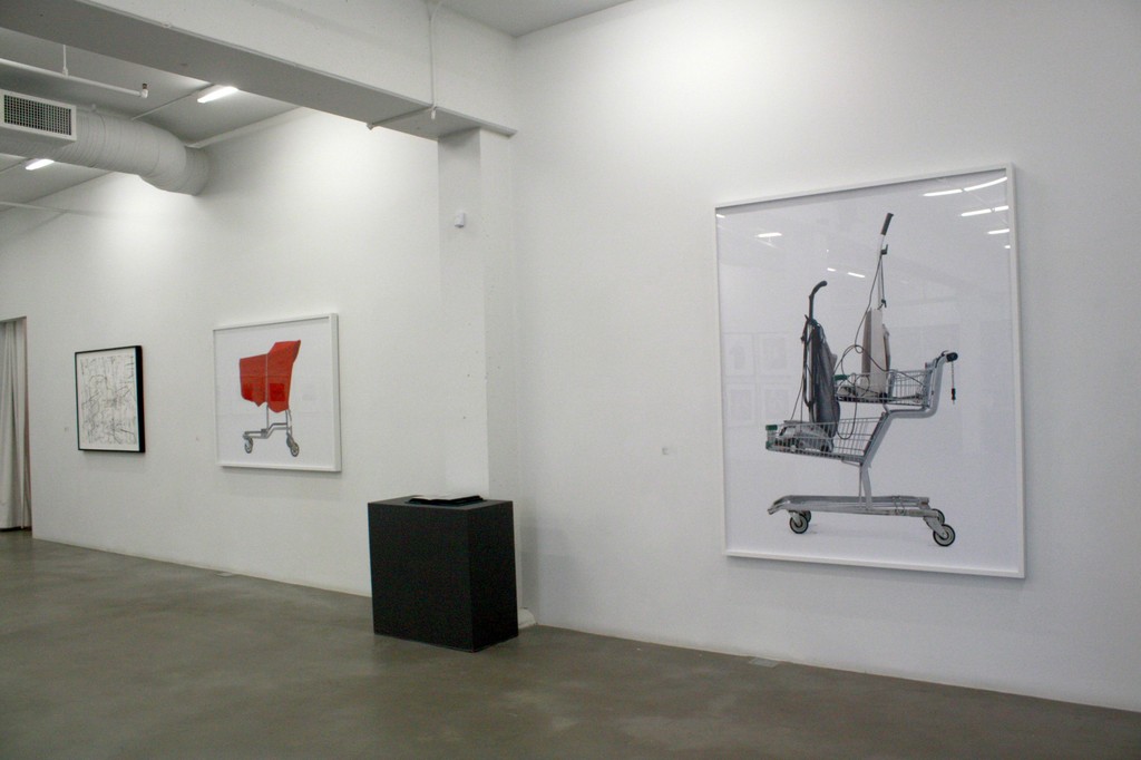 Install shot of Shopping Carts" Install shot of Shopping Carts"