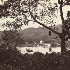 Samuel Bourne
