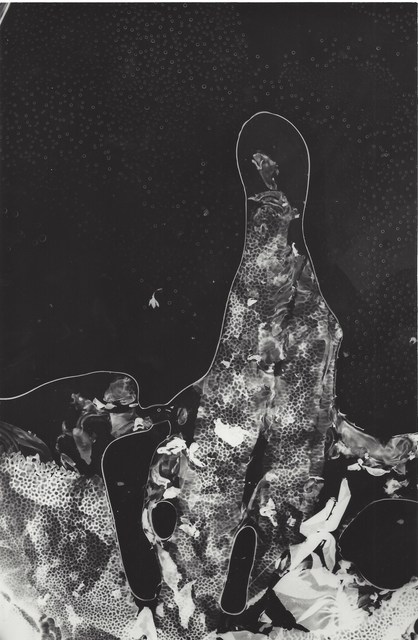 Miloš Koreček, ‘My Zoo’, ca. 1972, Photography, Vintage gelatin silver print, TRAPÉZ