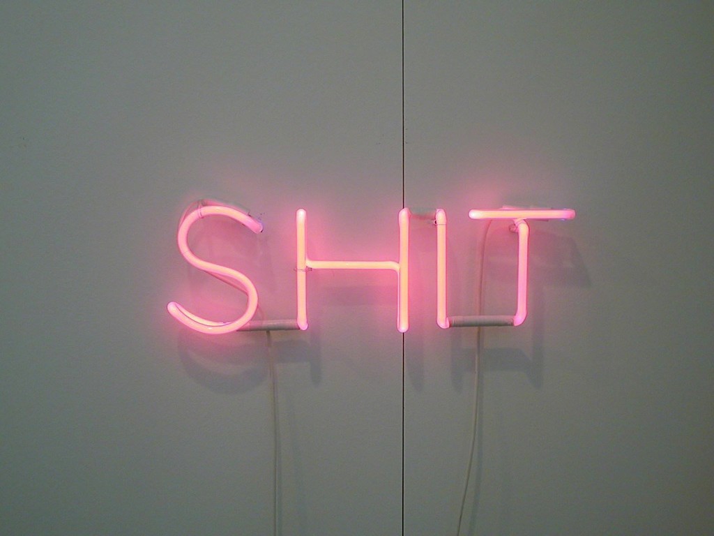 Martin Creed - Work n°281, SHIT - 2002 - Red Neon, cm 15,20 h Martin Creed - Work n°281, SHIT - 2002 - Red Neon, cm 15,20 h