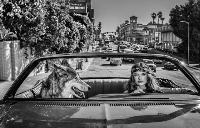 David Yarrow, ‘Chateau Marmont’, ca. 2019, Samuel Lynne Galleries