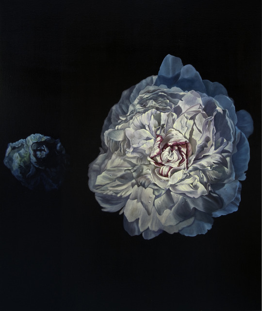 David Chan 15 Artworks, Bio & Shows on Artsy