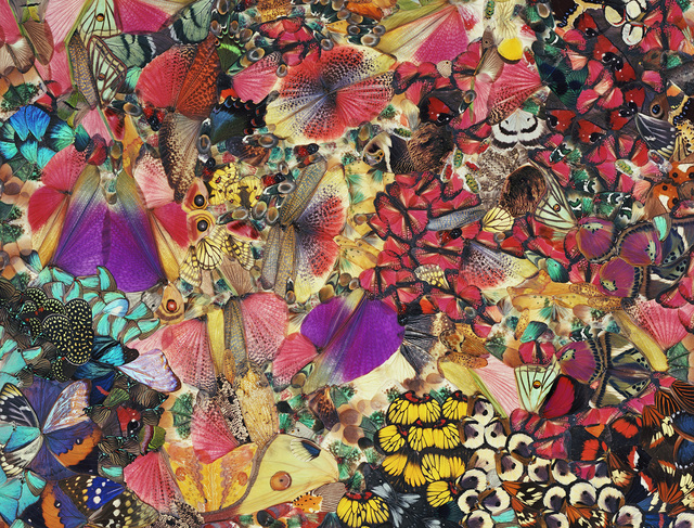 Nathalia Edenmont, ‘Hallelujah’, 2013, Nancy Hoffman Gallery