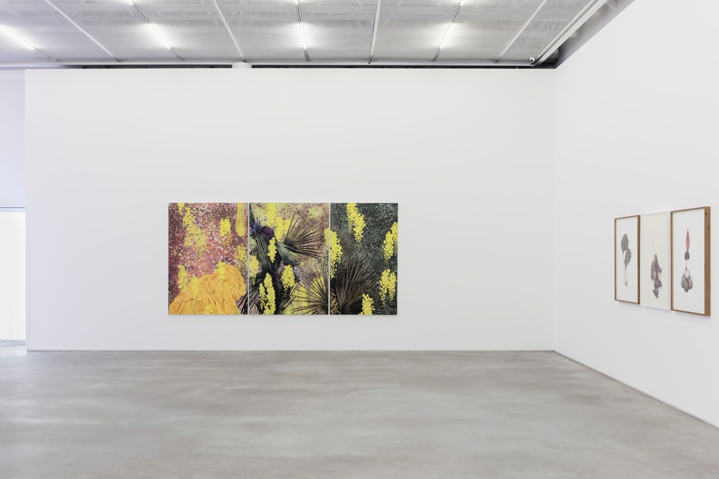 MARIANA PALMA . CASA TRIÂNGULO, 2017. PHOTO: FILIPE BERNDT MARIANA PALMA . CASA TRIÂNGULO, 2017. PHOTO: FILIPE BERNDT