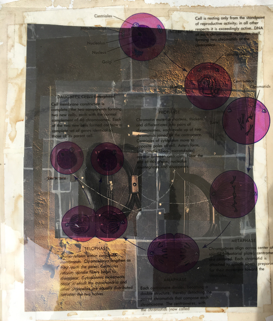 Michael Pink, ‘Telophase’, 1998, 57 Projects