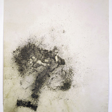 Ulrike Arnold
