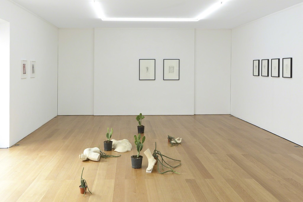Installation view Alex Mirutziu at Galerie Rüdiger Schöttle, 2016.
Photo: Wilfried Petzi. Installation view Alex Mirutziu at Galerie Rüdiger Schöttle, 2016.
Photo: Wilfried Petzi.