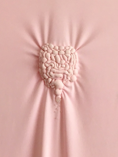 Elodie Antoine, ‘Intestin matelassé’, 2020, Sculpture, Pink embroidered and beaded lycra, Aeroplastics