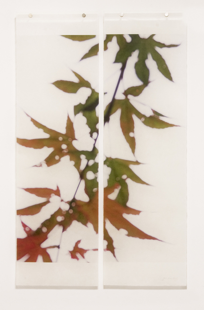 Jeri Eisenberg, ‘Momji No. 2’, 2014, Photography, Archival pigment ink on Kozo paper infused with encaustic, Kathryn Markel Fine Arts