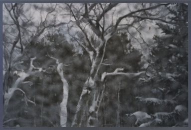 “Snow” #16