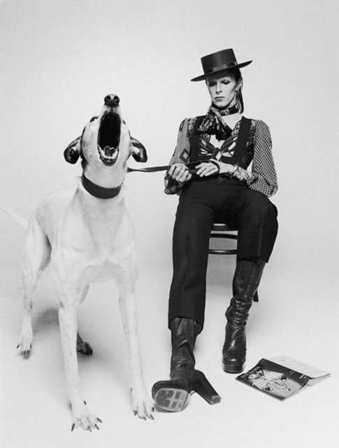 Terry O'Neill, ‘David Bowie, Diamond Dogs (view 2)’, 1974, Alon Zakaim Fine Art