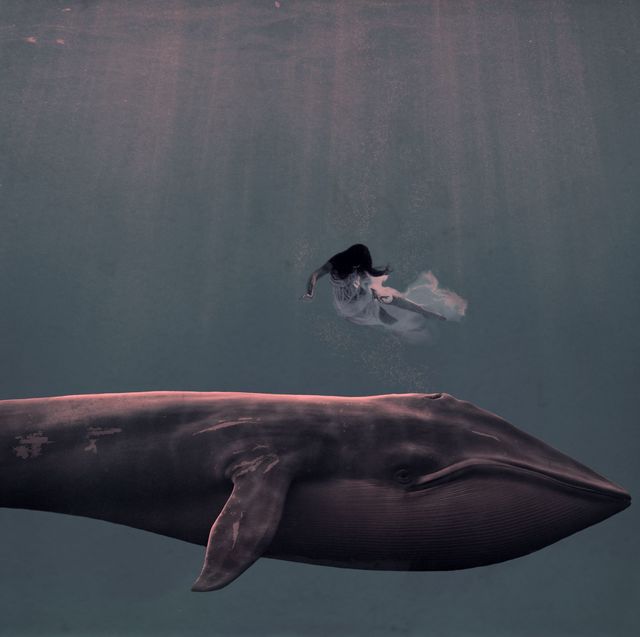 Brooke Golightly, ‘my dreaming was deep’, 2016, Photography, Photo on Board with Resin, M.A. Doran Gallery