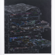 Samantha Roth