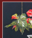 "Hanging Flowers" by Frank Björklund "Hanging Flowers" by Frank Björklund