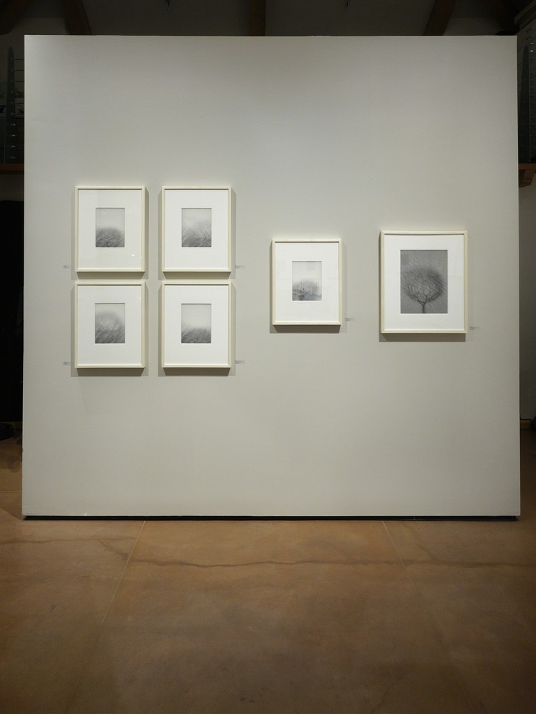 Back Wall – Chaco Terada installed at photo-eye Gallery, Santa Fe, NM. Back Wall – Chaco Terada installed at photo-eye Gallery, Santa Fe, NM.