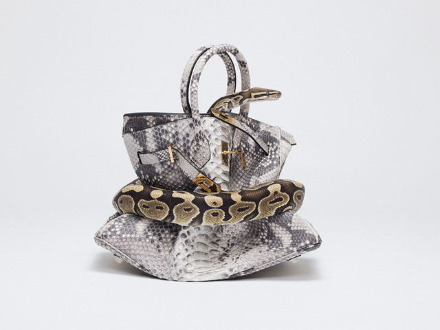 Tyler Shields, ‘Python Birkin’, 2016, Imitate Modern