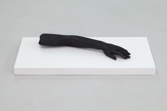 Mateo López, ‘Brazo (arm)’, 2014, Casey Kaplan