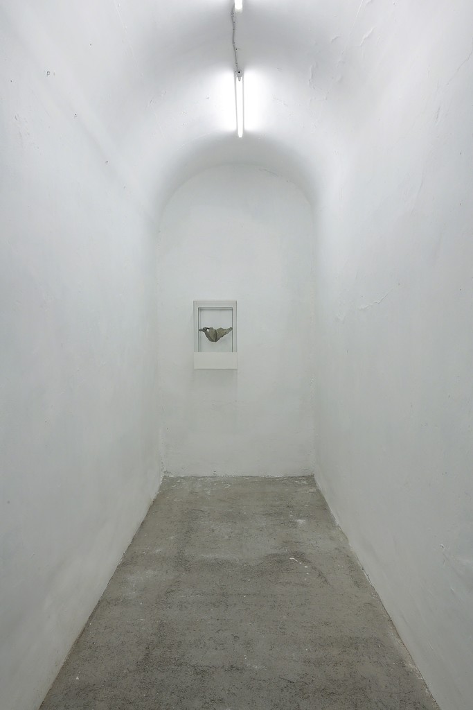 Felix Schramm, Duo, 2016, ph Federico Ridolfi, courtesy Fondazione VOLUME! Felix Schramm, Duo, 2016, ph Federico Ridolfi, courtesy Fondazione VOLUME!