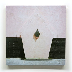 Shane Darwent