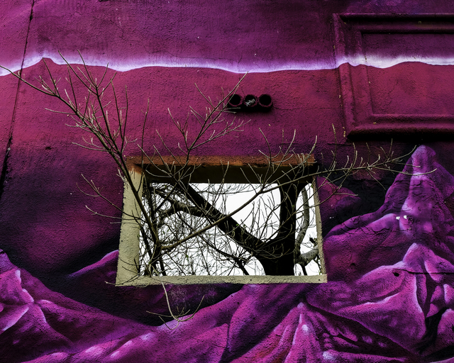 Marco Inzerillo, ‘Fine Stra Wynwood’, 2019, Photography, Heat Transfer Photography on Aluminum, Adelson Galleries