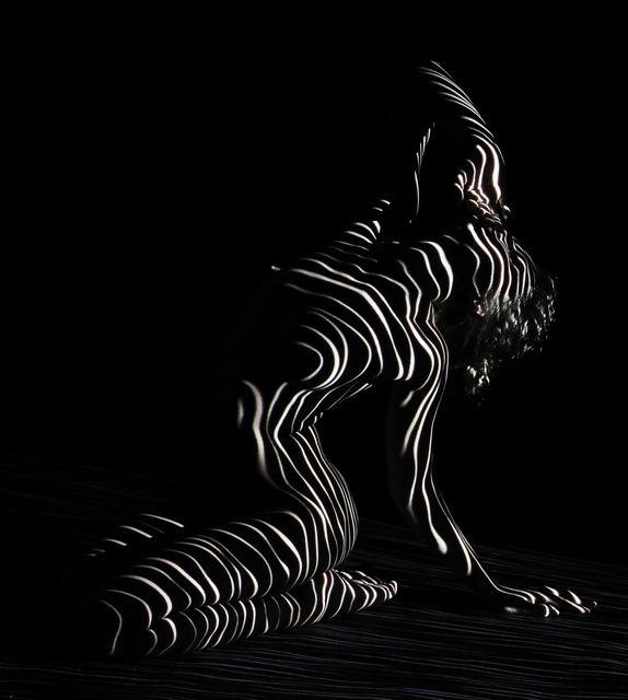 Dani Olivier, 2017, Photography, Galerie des Soupirs