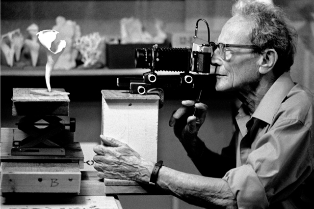 Nomi Baumgartl, ‘Anatomy of Nature, Work in Progress I, Andreas Feininger, New Milford, Connecticut’, 1989, Photography, Gelatin Silver print, Ira Stehmann Fine Art Photography