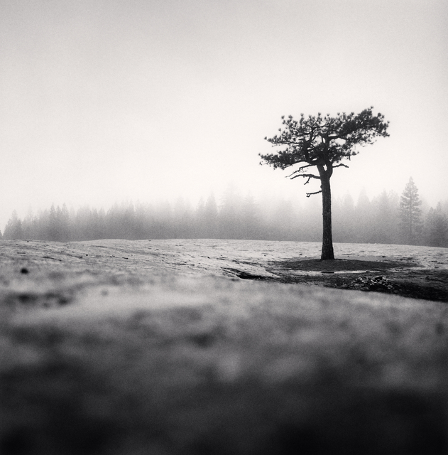 Michael Kenna, ‘Walking on the Moon - Bass Lake, California, USA. ’, 1998, Photography, Sepia toned silver gelatin print, Galeria de Babel