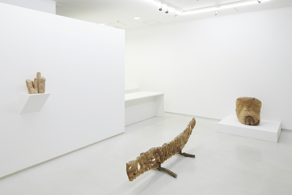Installation view from “Thorn of Comfort” 8/ ART GALLERY/ Tomio Koyama Gallery, 2017 ©Tomio Koyama Gallery, photo by Kenji Takahashi Installation view from “Thorn of Comfort” 8/ ART GALLERY/ Tomio Koyama Gallery, 2017 ©Tomio Koyama Gallery, photo by Kenji Takahashi