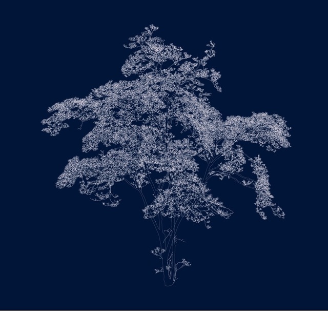 Andrew Millner, ‘38 39' 8.5"N 90 18' 46.9"W (dogwood)’, 2016, Lightjet print mounted to plex, William Shearburn Gallery