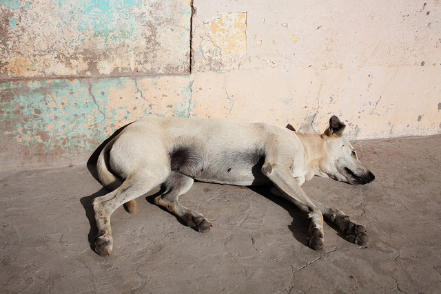 Catarina Botelho, ‘Cidade Partida’, 2016, Galería Silvestre