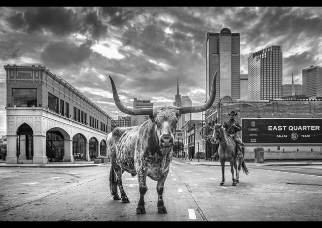 David Yarrow, ‘A Dallas Cowboy’, 2020, Photography, Digital Pigment Print on Archival 315gsm Hahnemuhle Photo Rag Baryta Paper, Isabella Garrucho Fine Art