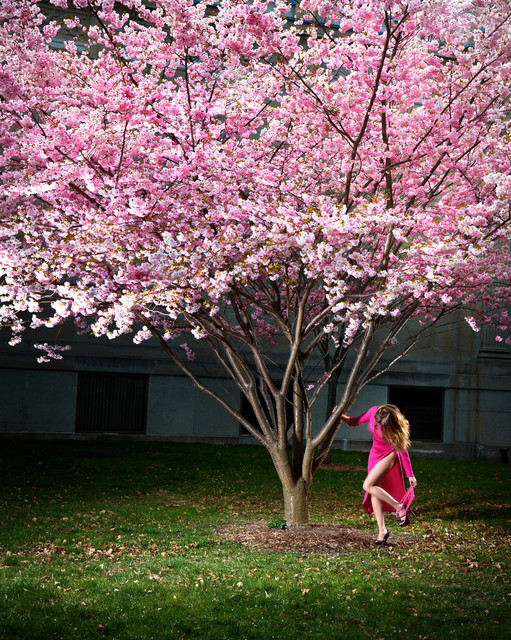 David Drebin, ‘Pink Moment’, 2012, CAMERA WORK