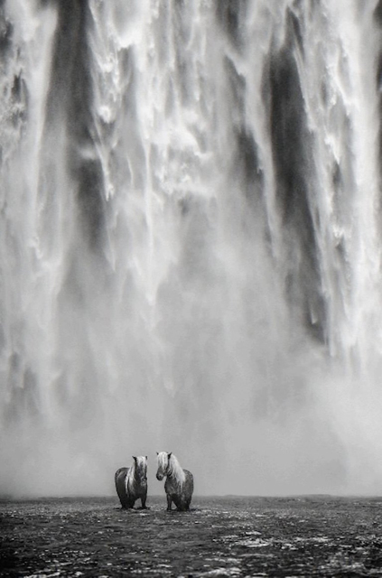 David Yarrow, ‘The Dream, Iceland’, 2018, Photography, Archival Pigment Photograph, Holden Luntz Gallery