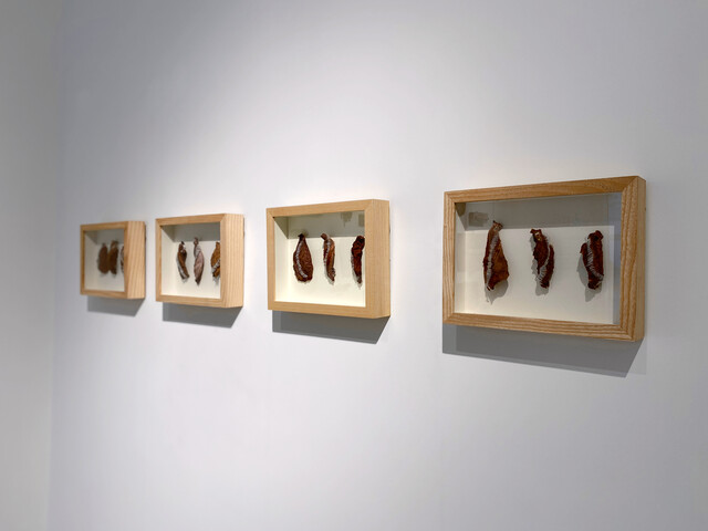 An Operator with Measured Endevors (Lapses) — Gülşah Mursaloğlu (2018)