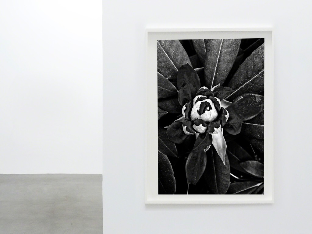 Sadnecessary 001, Martina + Reem, available at theprintatelier.com Sadnecessary 001, Martina + Reem, available at theprintatelier.com