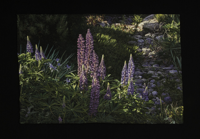 Carol Shinn, ‘Lupines’, 2020, Textile Arts, Embroidery, Duane Reed Gallery